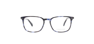 Scott - Blauw tortoise
