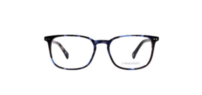 Scott - Blauw-Tortoise
